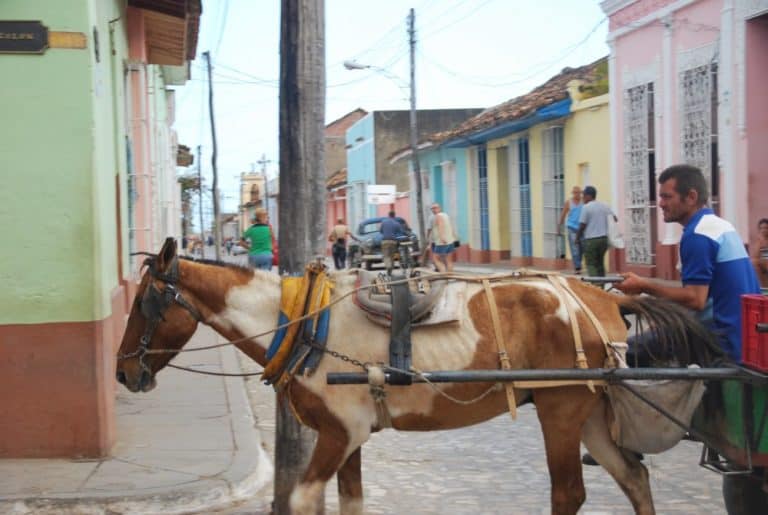 Cuba, Trinidad – bony horse, spring 2010