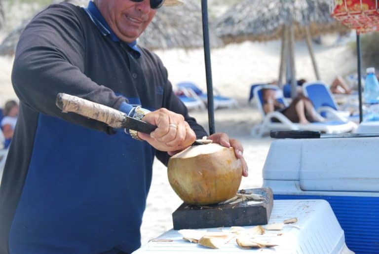 Cuba, Varadero – coconut, spring 2010