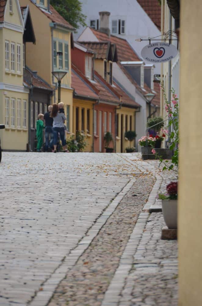 Walking in Odense