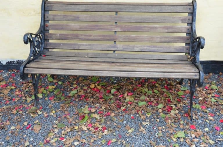 Denmark, Aeroskobing – bench and petals, Aug. 2012 (Aero)