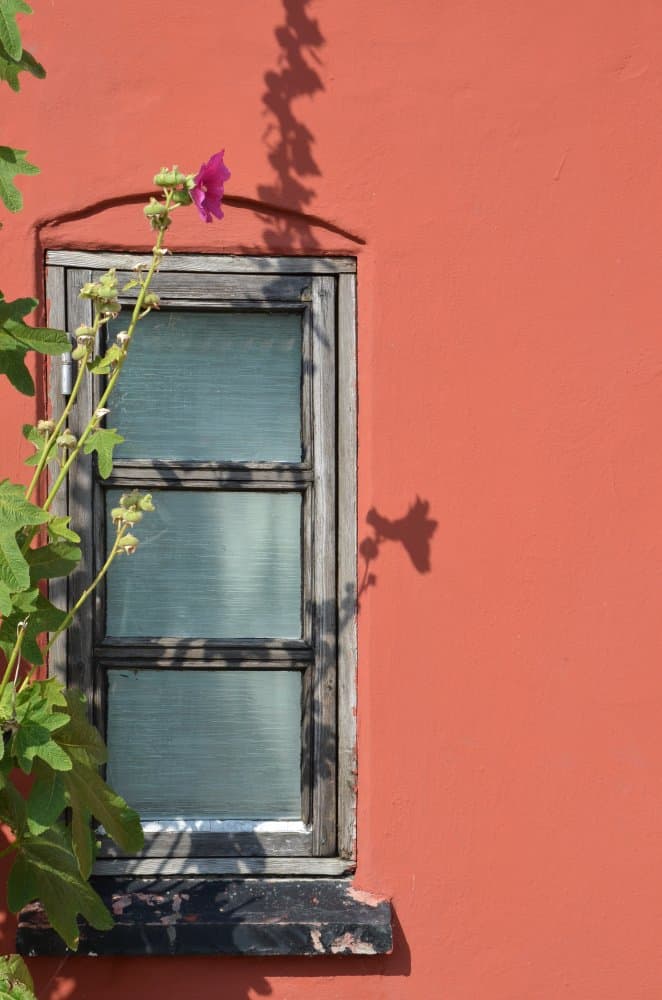 Denmark, Aeroskobing – shadow of flowers, Aug. 2012 (Aero)