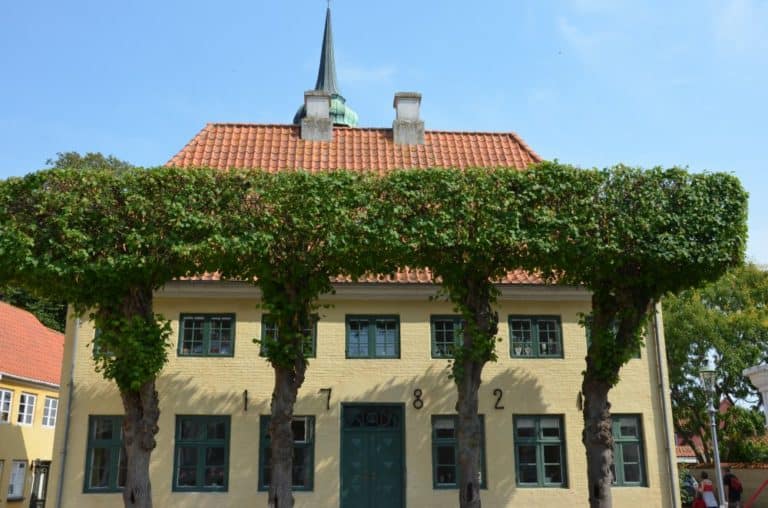 Denmark, Aeroskobing – tree, Aug. 2012 (Aero)