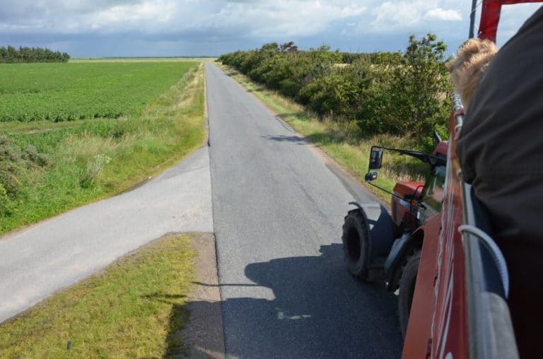 Denmark, Mando – road, July 2012