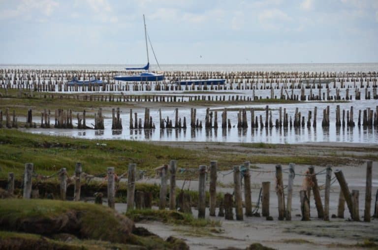 Denmark, Mando – boat, July 2012