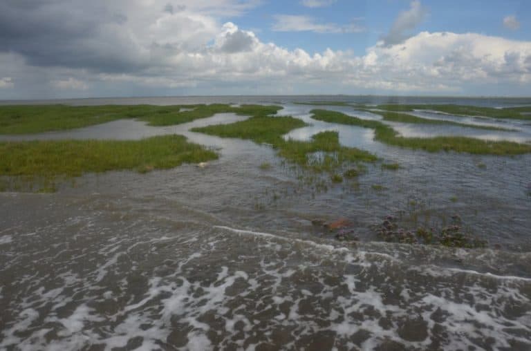 Denmark, Mando – water, July 2012