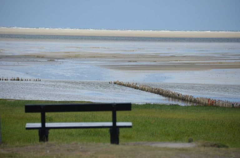 Denmark, Mando – bench, July 2012