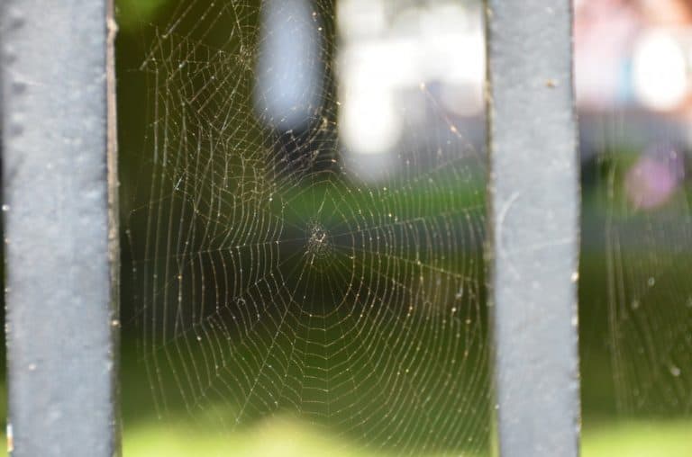 Denmark, Marstal – web Aug.2012 (Aero)