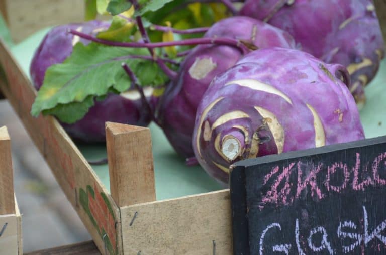 Denmark, Odense – market, August 2012 (Odense)