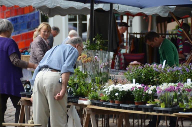 Denmark, Odense – flower market, August 2012 (Odense)