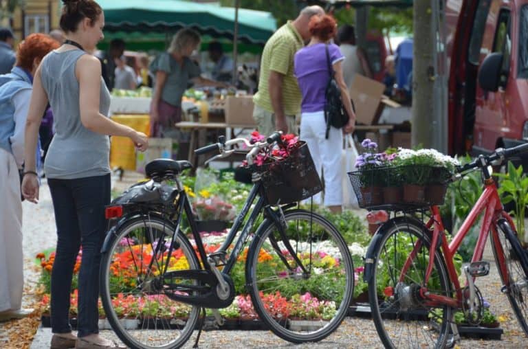 Denmark, Odense – bicycles, August 2012 (Odense)