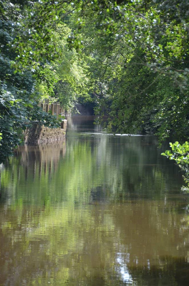 Denmark, Odense – park, August 2012 (Odense)
