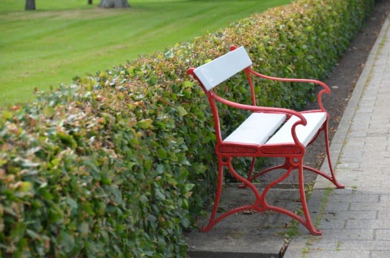 Denmark, Ribe – red and white bench, July2012 (Ribe)