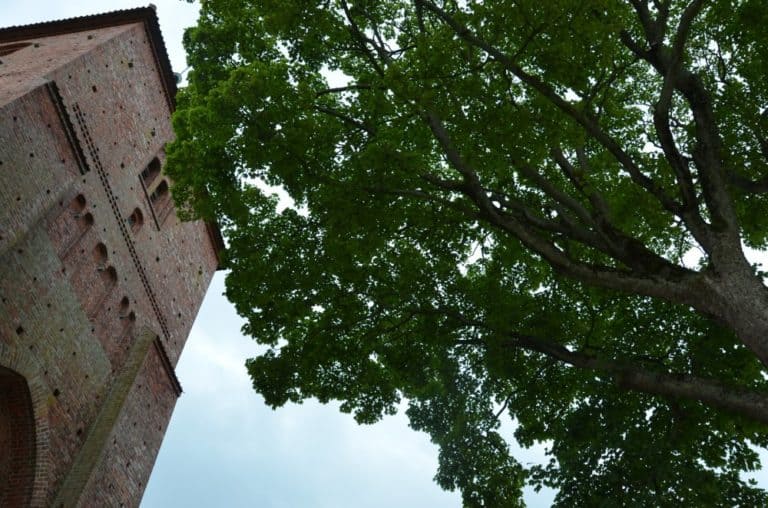 Denmark, Ribe – looking up, July2012 (Ribe)
