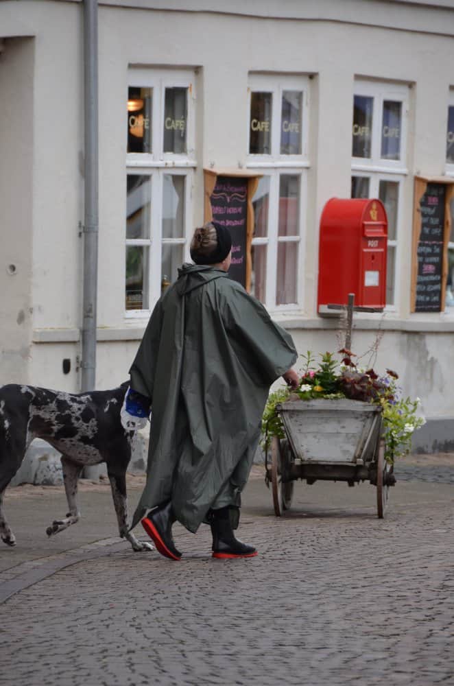 Denmark, Ribe – woman & dog, July 2012 (Ribe)