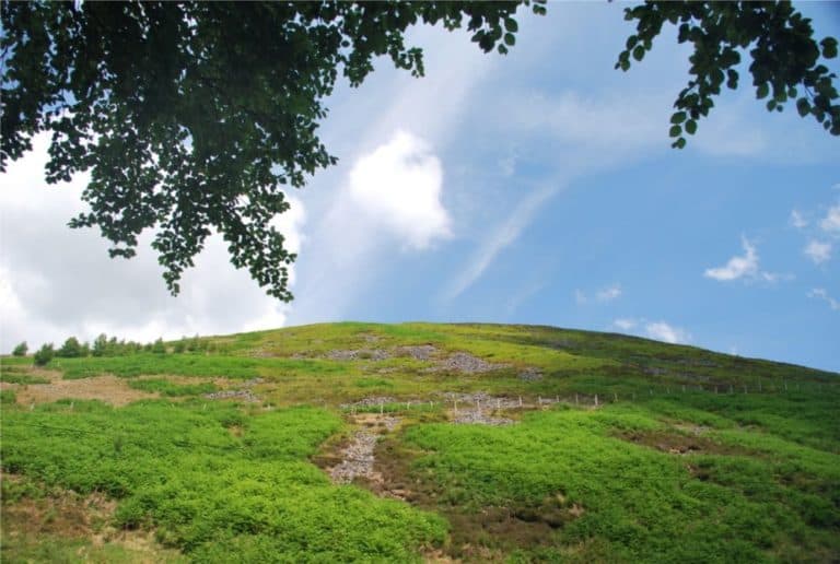 Inghilterra, Bowland – verde e azzurro, 2010