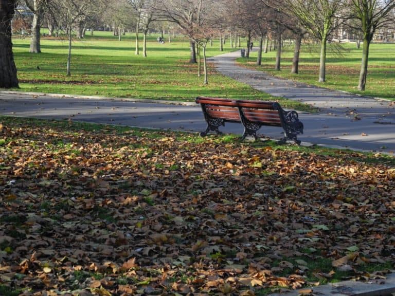 イングランド、ロンドン－公園のベンチ 2012年11月 (ロンドン)