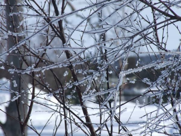 Finland, Inari – ice, 2006 (Lapland)