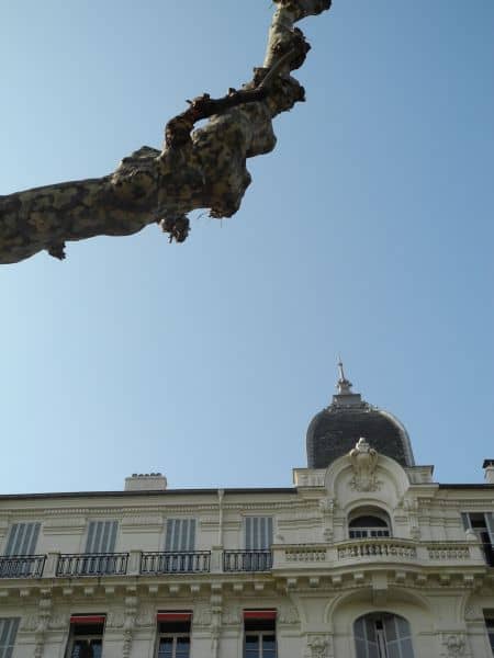 Francia, Nizza – un ramo, 2011 (Nizza)