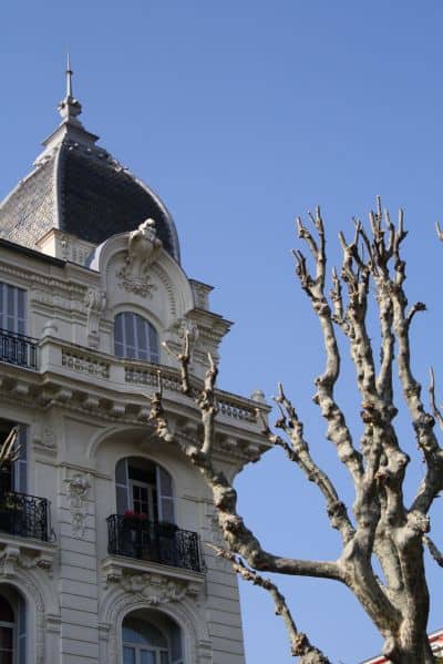 Francia, Nizza – un albero e una casa, 2011 (Nizza)
