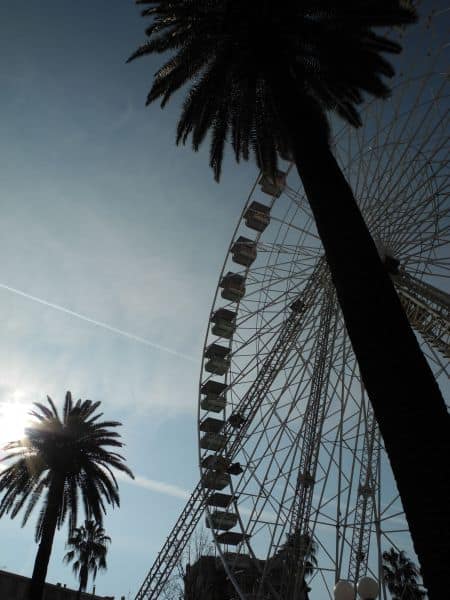 Francia, Nizza – alberi, 2011 (Nizza)