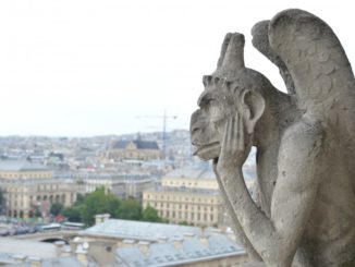 France, Paris – horse, 2012