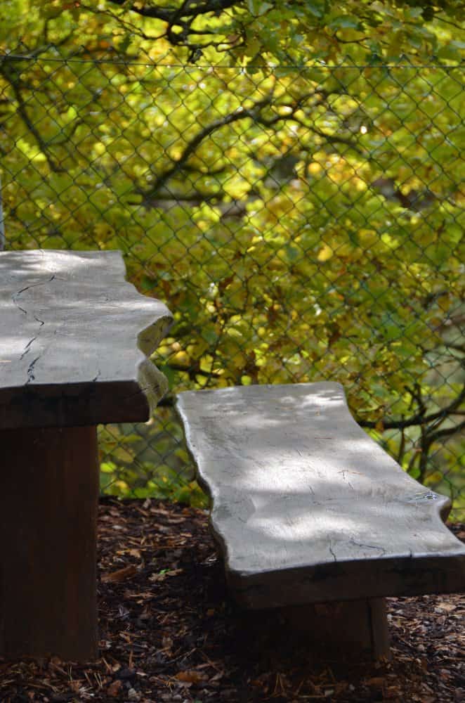 Germania, Fischbach – panchina, Settembre 2012