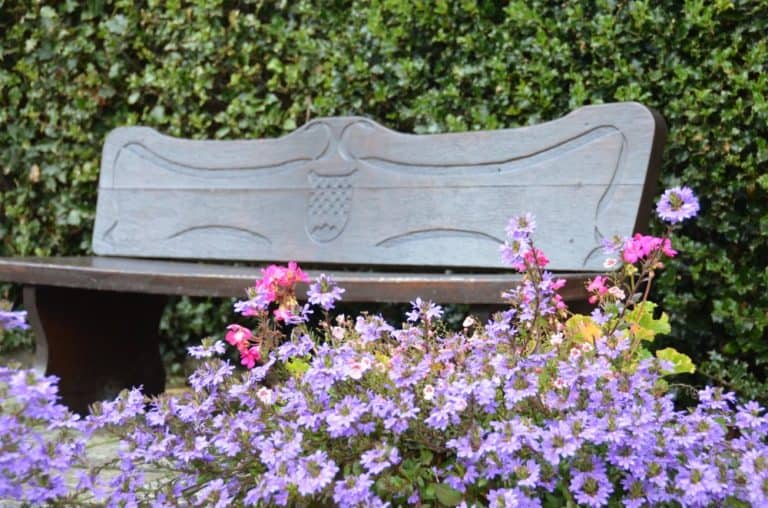 Germania, Herrstein – fiori e panchina, Settembre 2012