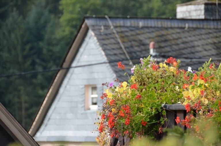 Germania, Herrstein – fiore e casa, Settembre 2012