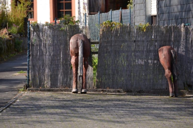 Germany, Allenbach – horses?, Sept. 2012