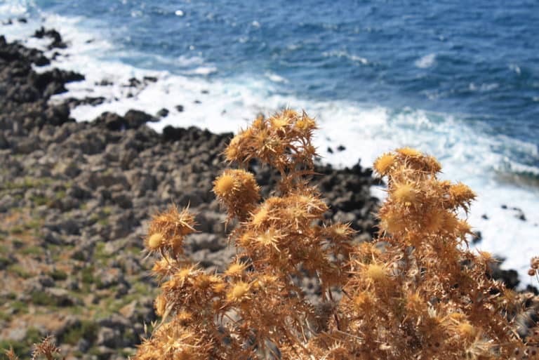 Greece, Crete – waterside, 2009 (Crete)