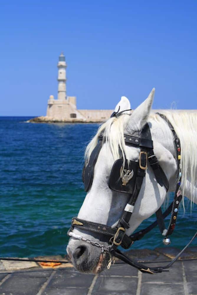 Greece, Crete – horse, 2009 (Crete)