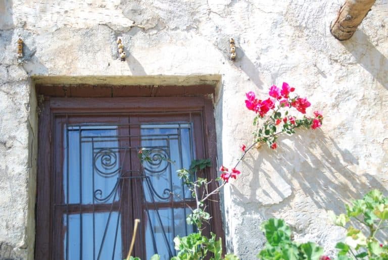 Grecia, Creta – finestra e fiore, agosto 2009 (Creta)