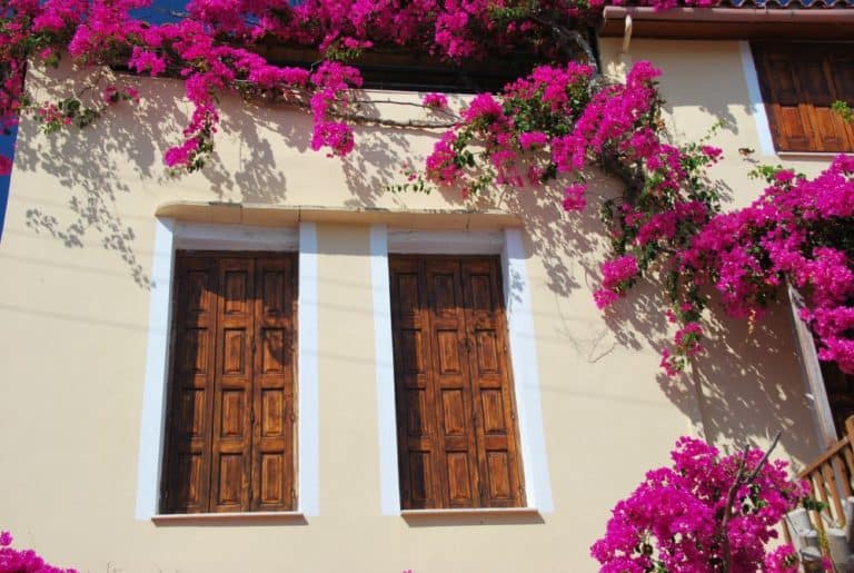 Grecia, Rethymno – due finestre, agosto 2009 (Creta)