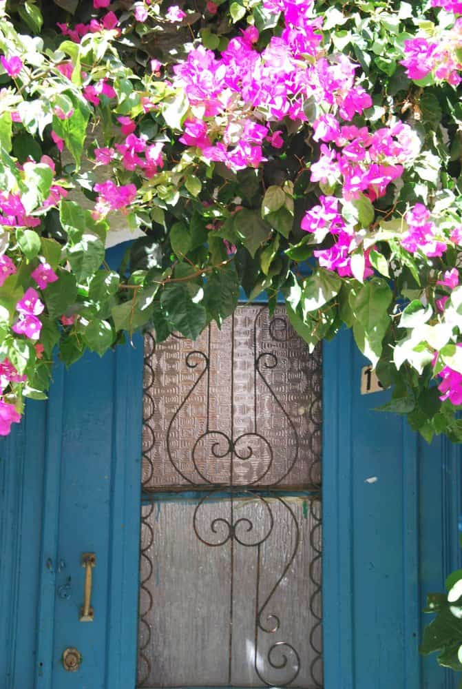 Grecia, Rethymno – porta con fiori, agosto 2009 (Creta)
