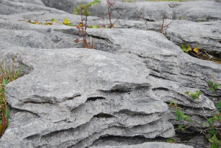 Ireland, Burren – rock, July 2012
