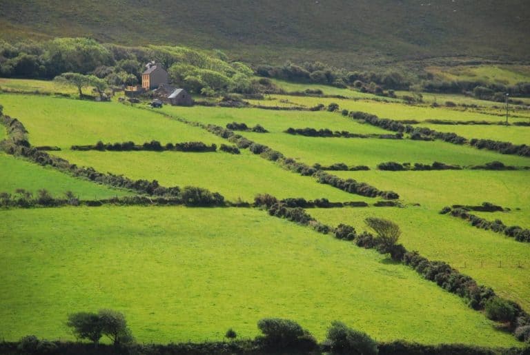 Ireland, Dingle Peninsula – green, July 2011