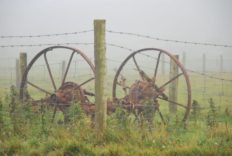 Irlanda, Scogliere di Moher – ruote, luglio 2011