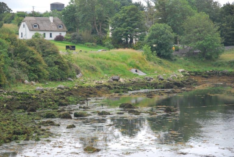 Irlanda – casa di campagna, luglio 2011