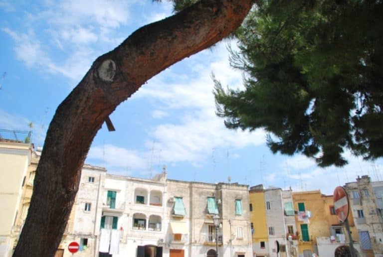 Bari il capoluogo pugliese