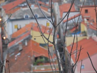 Italy, Final Borgo – river and flowers, Dec.2012