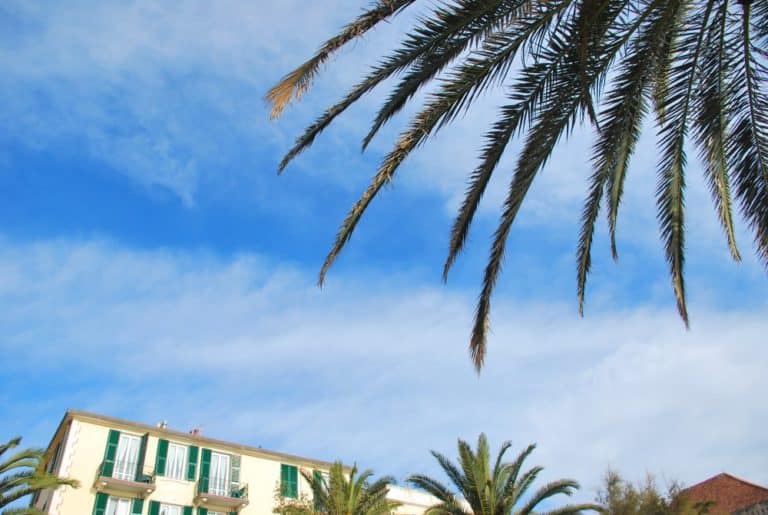 Italy, Finale Ligure – palm and sky, Dec.2012 (Liguria)