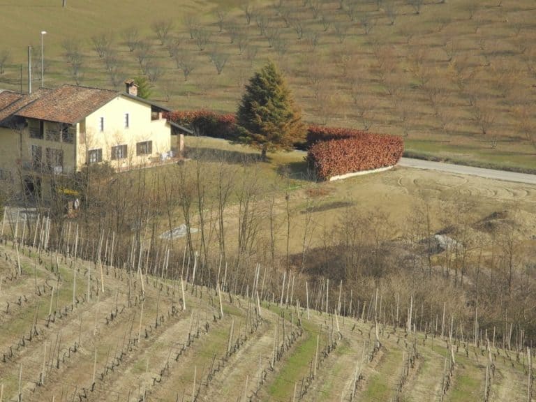 Italia, Langhe – casa nei campi, marzo 2012 (Piemonte)