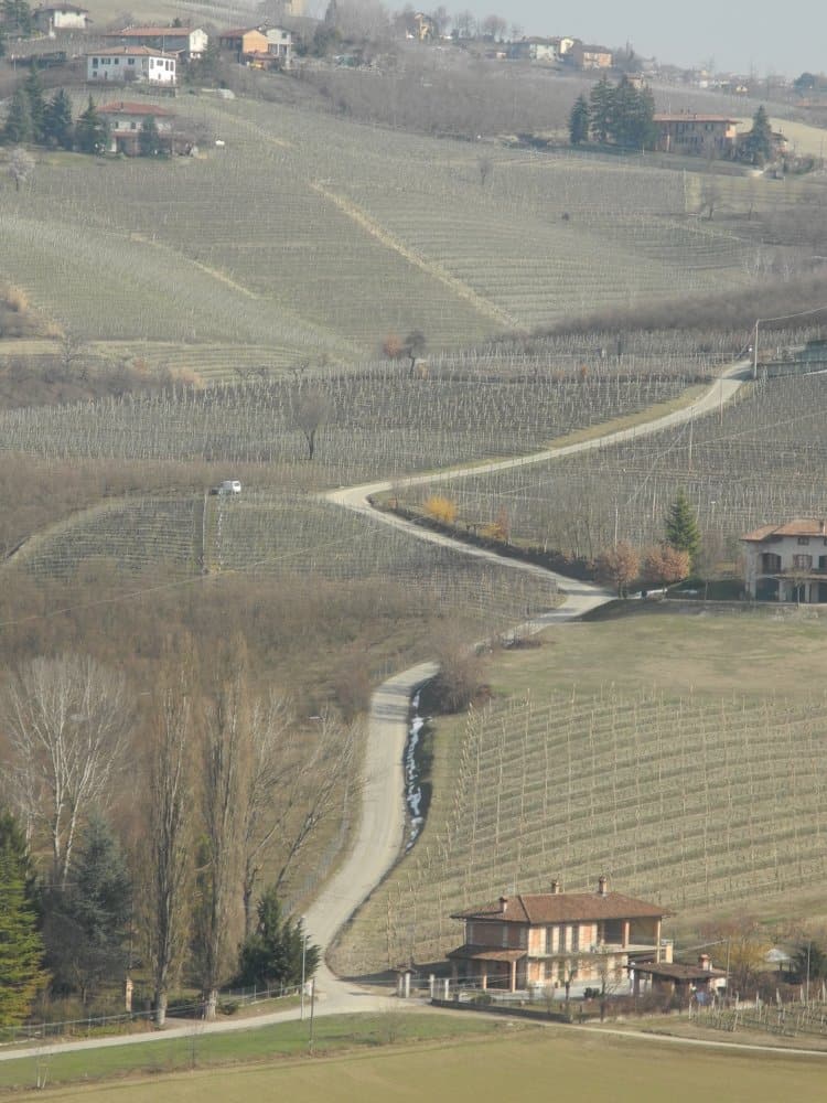 Italia, Langhe – strada isolata, marzo 2012 (Piemonte)