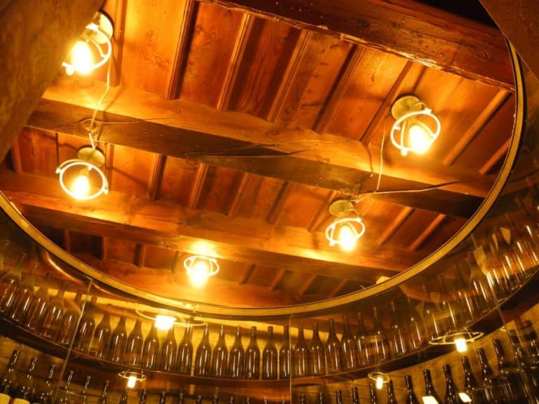 Italia, Langhe – cantina, marzo 2012 (Piemonte)