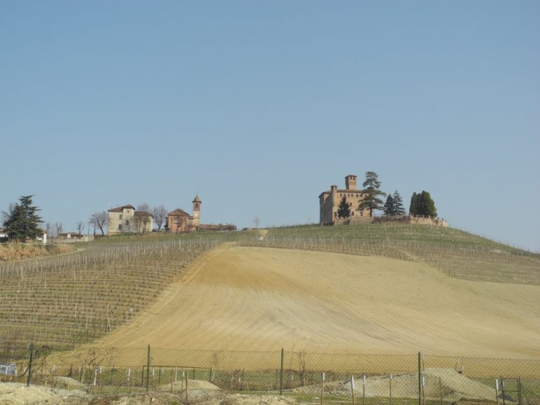 Italia, Langhe – colline, marzo 2012 (Piemonte)