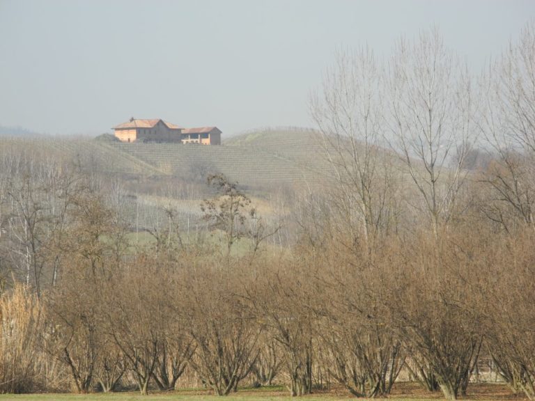Italia, Langhe – casa e alberi, marzo 2012 (Piemonte)