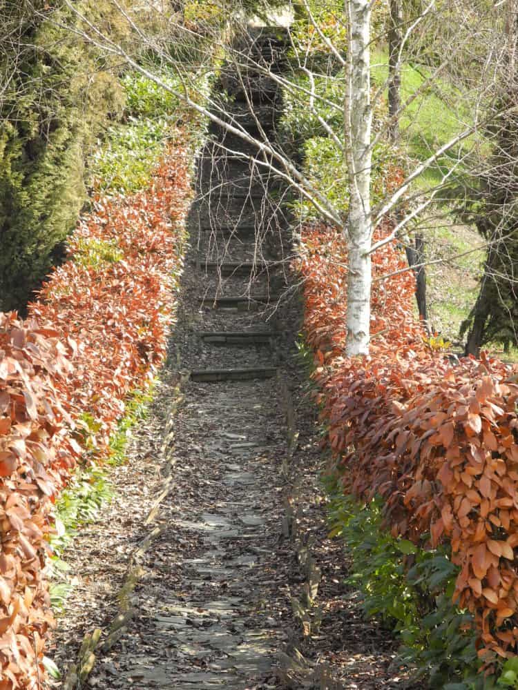 Italia, Langhe – pendenza, marzo 2012 (Piemonte)