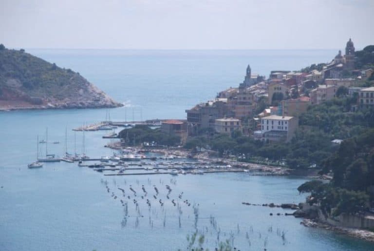 Italy, Portovenere – cultivation, 2010 (Liguria)