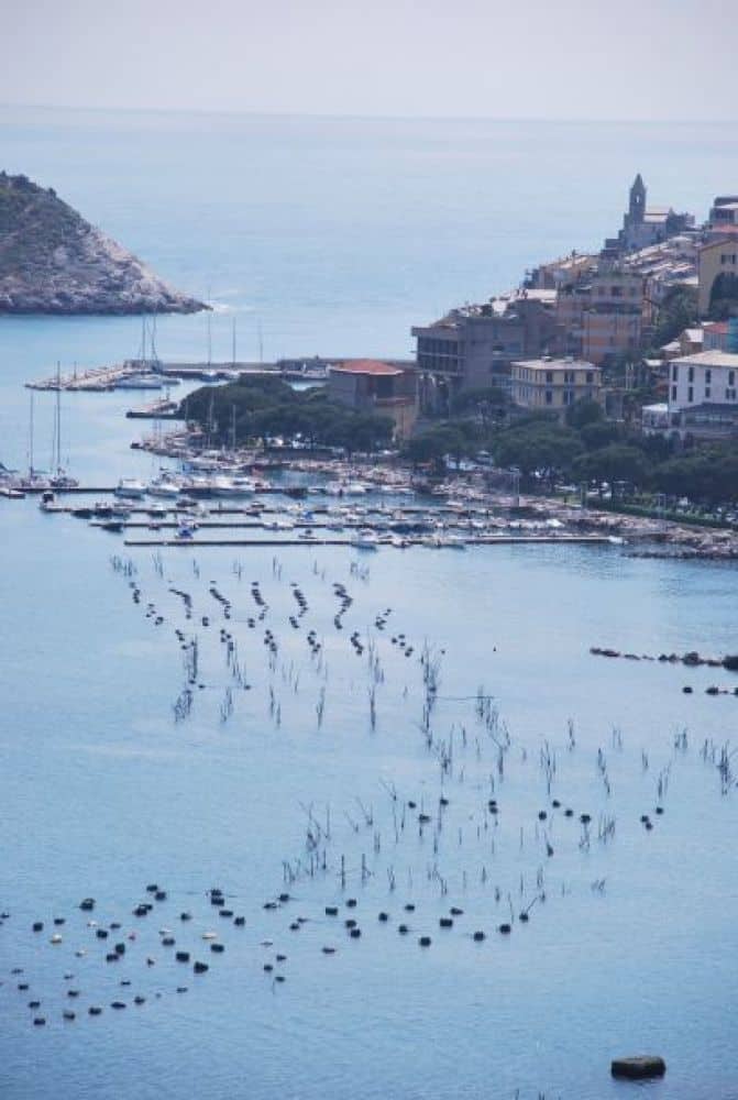 Italy, Portovenere – looking down, 2010 (Liguria)