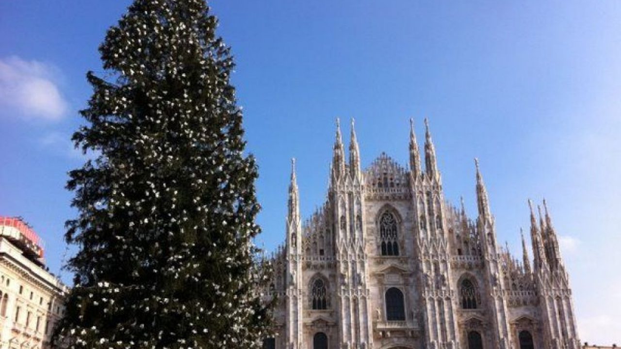 The Christmas Tree In Milan Italy Lombardy
